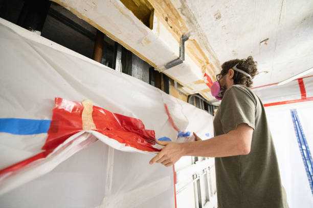 Best Black Mold Removal  in Spartanburg, SC