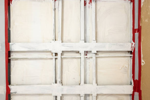 Best Emergency Mold Remediation  in Spartanburg, SC