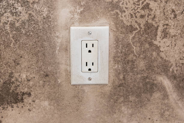 Best Asbestos and Lead Testing During Mold Inspection  in Spartanburg, SC